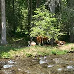 Riesneralm *