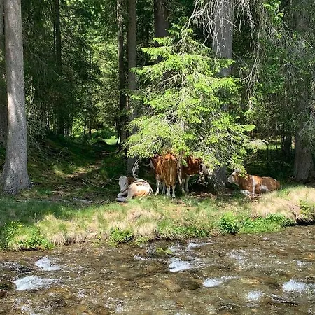 Riesneralm *