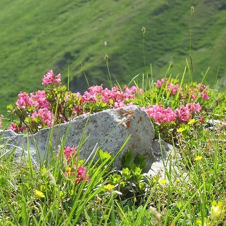 Apartamento Riesneralm