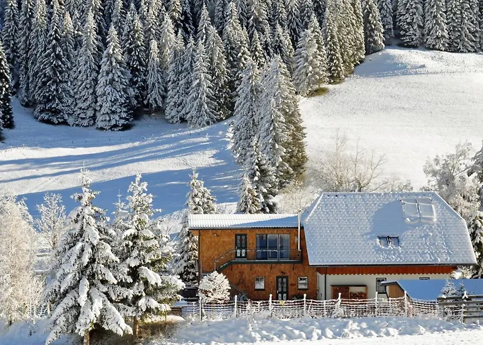 Riesneralm Appartement *