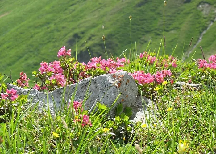 Apartmán Riesneralm